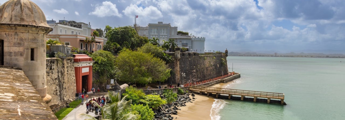 Teletrabajador de Carácter Internacional desde San Juan de Puerto Rico