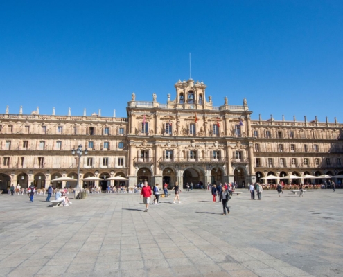 arraigo social en España
